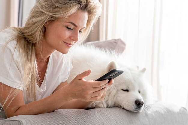 Dräktighet hund symptom - tidiga tecken på dräktig tik Dräktighet hund symptom - tidiga tecken på dräktig tik
