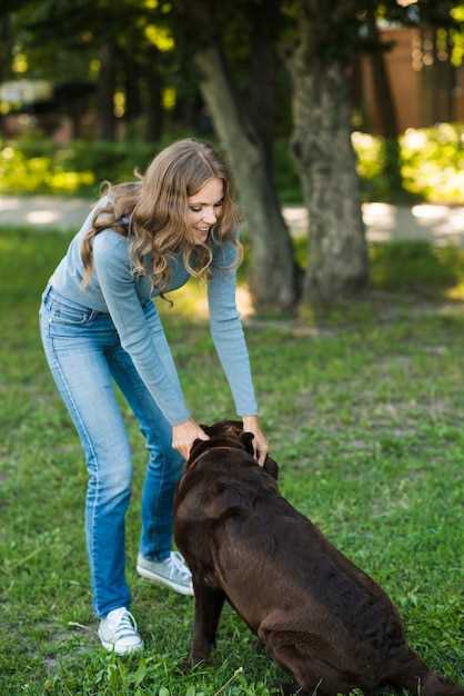 Valpträning - de första stegen mot en lydig och trygg hund Valpträning - de första stegen mot en lydig och trygg hund